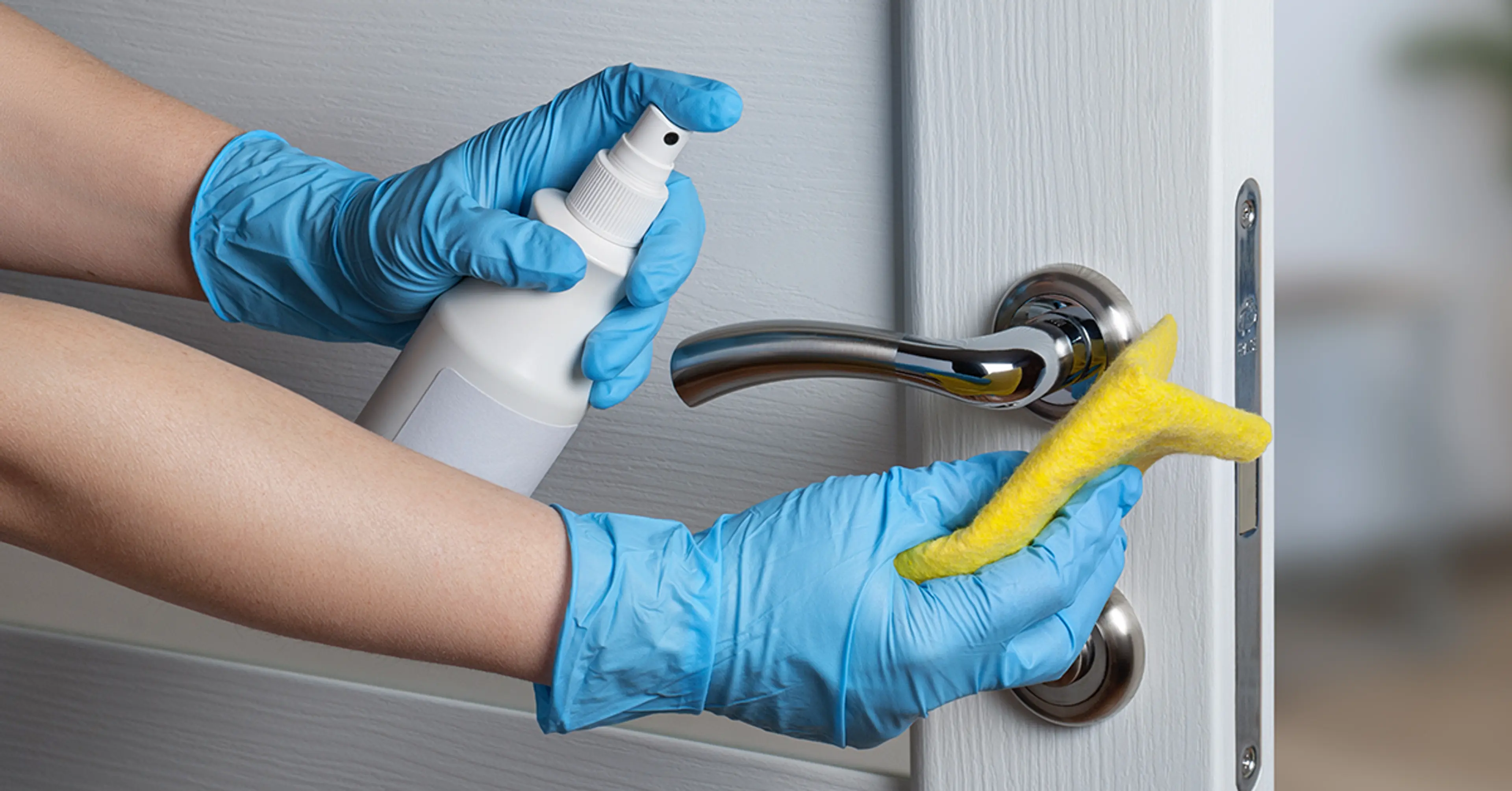 Ways To Maintain a Healthy And Germ-free Home